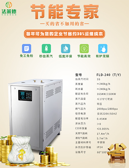 法萊德蒸汽發(fā)生器FLD-240